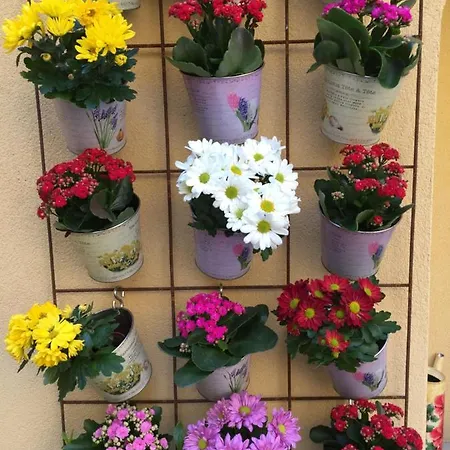 La Corte Di 3* 切尔诺比奥